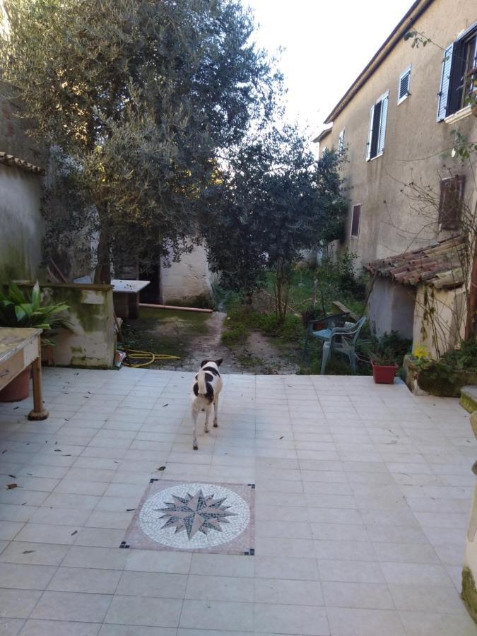 Casa Vacanza Zia Ersilia Rotondi Luaran gambar