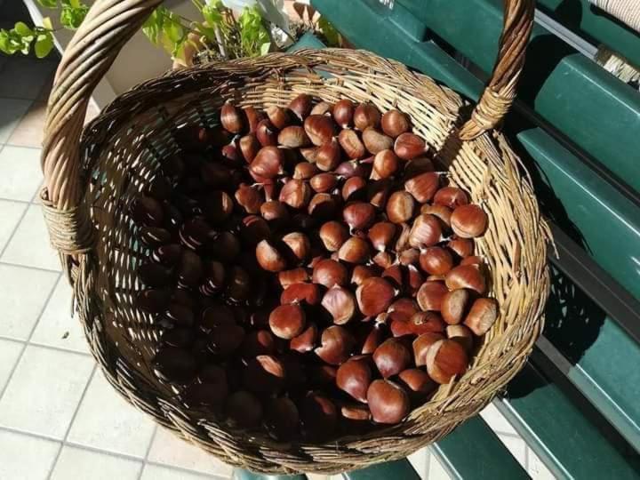 Casa Vacanza Zia Ersilia Rotondi Luaran gambar