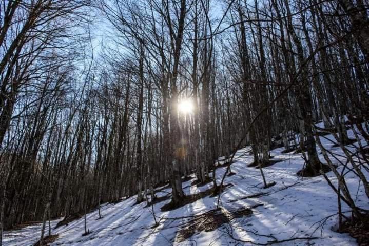 Casa Vacanza Zia Ersilia Rotondi Luaran gambar